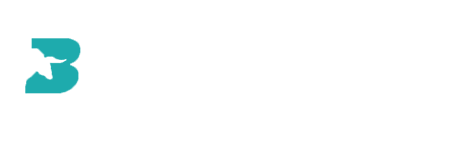 Blumstak logo